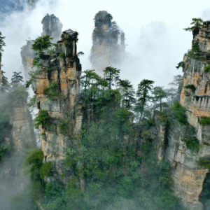 Experiencia en china